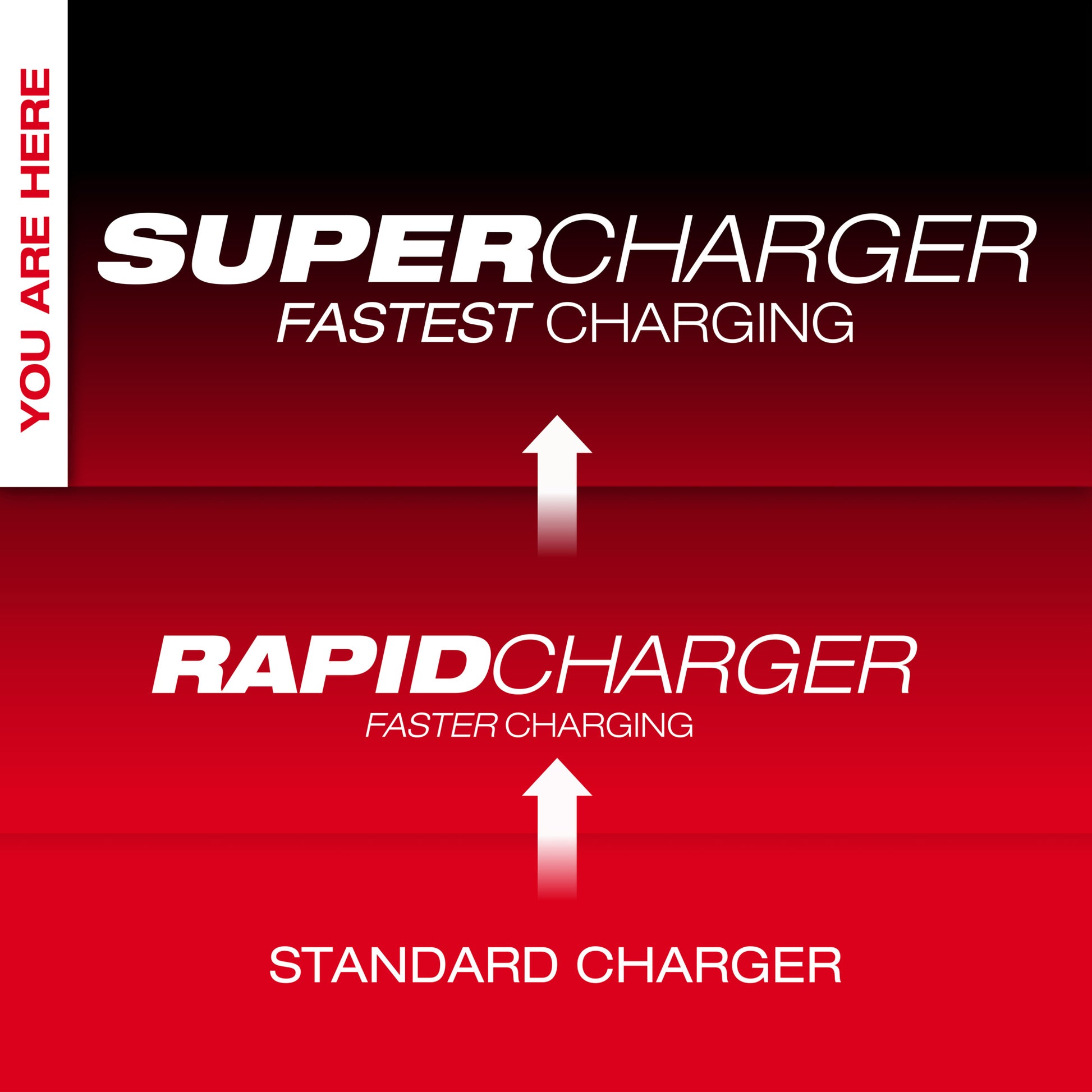Milwaukee 48-59-1815 M18™ Dual Bay Simultaneous Super Charger - McCally Tool and Supply | Industrial Distributor & Repair